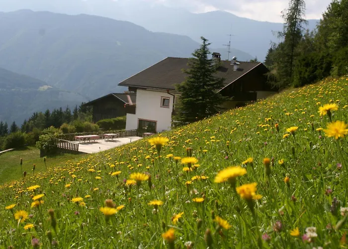 Biogasthaus Plonerhof Brixen